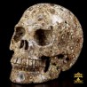 17/24 Très beau crâne en jaspe Astéroïde (jaspe orbiculaire). Crâne d’ancrage et de mémoire cellulaire.